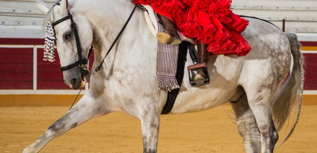Trajes de flamenca